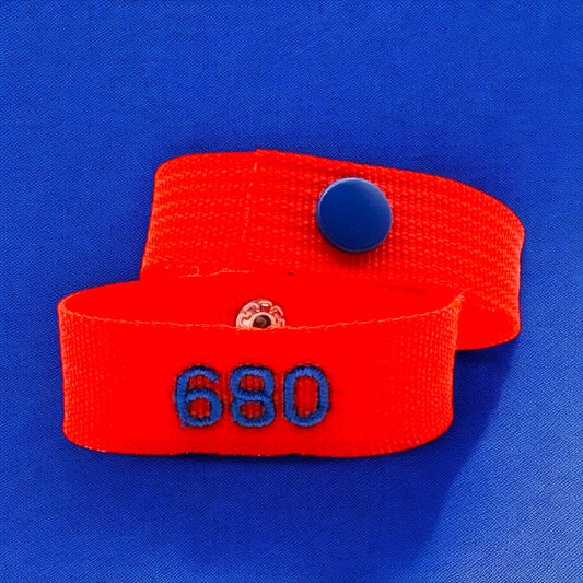 680 Webbing Bracelet